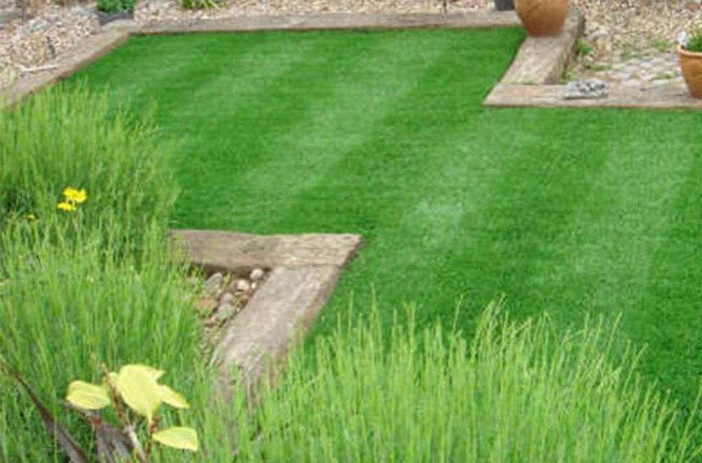 Artificial Grass